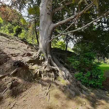 Bmp Gioiosa 2 Giardino Vista Maggiore * 贝尔吉拉泰