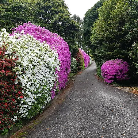 Bmp Gioiosa 2 Giardino Vista Maggiore 公寓 贝尔吉拉泰