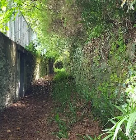 Bmp Gioiosa 2 Giardino Vista Maggiore 公寓 *