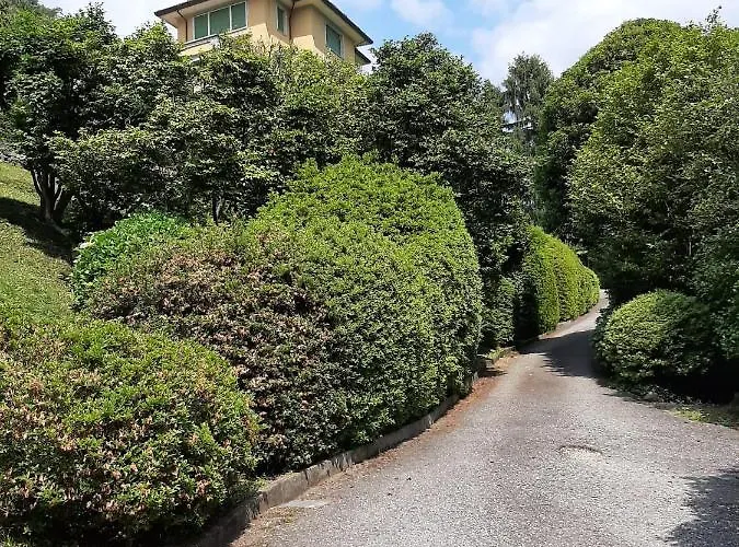 Bmp Gioiosa 2 Giardino Vista Maggiore Belgirate