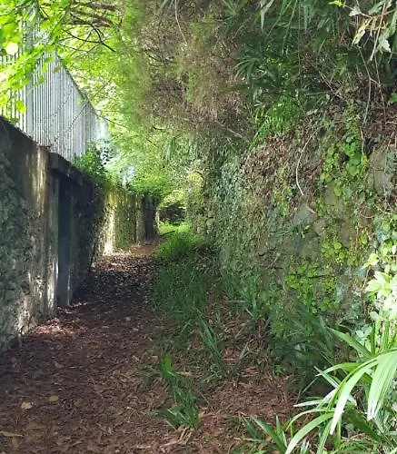 Bmp Gioiosa 2 Giardino Vista Maggiore Apartman *